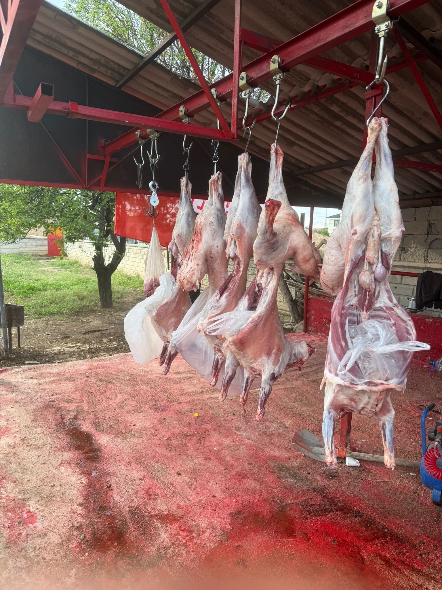Altunkara Besicilik gerçek müşteri memnuniyeti fotoğrafı Konya