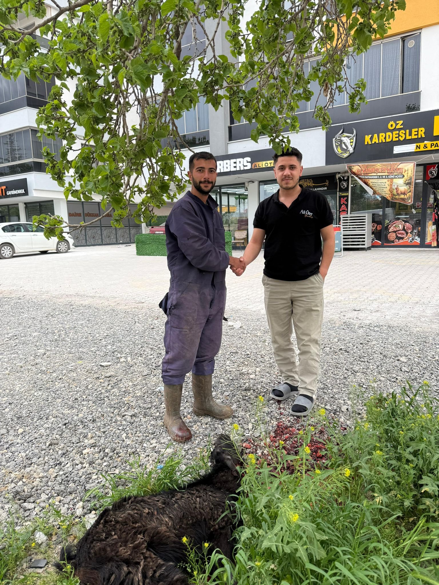 Altunkara Besicilik gerçek müşteri memnuniyeti fotoğrafı Konya